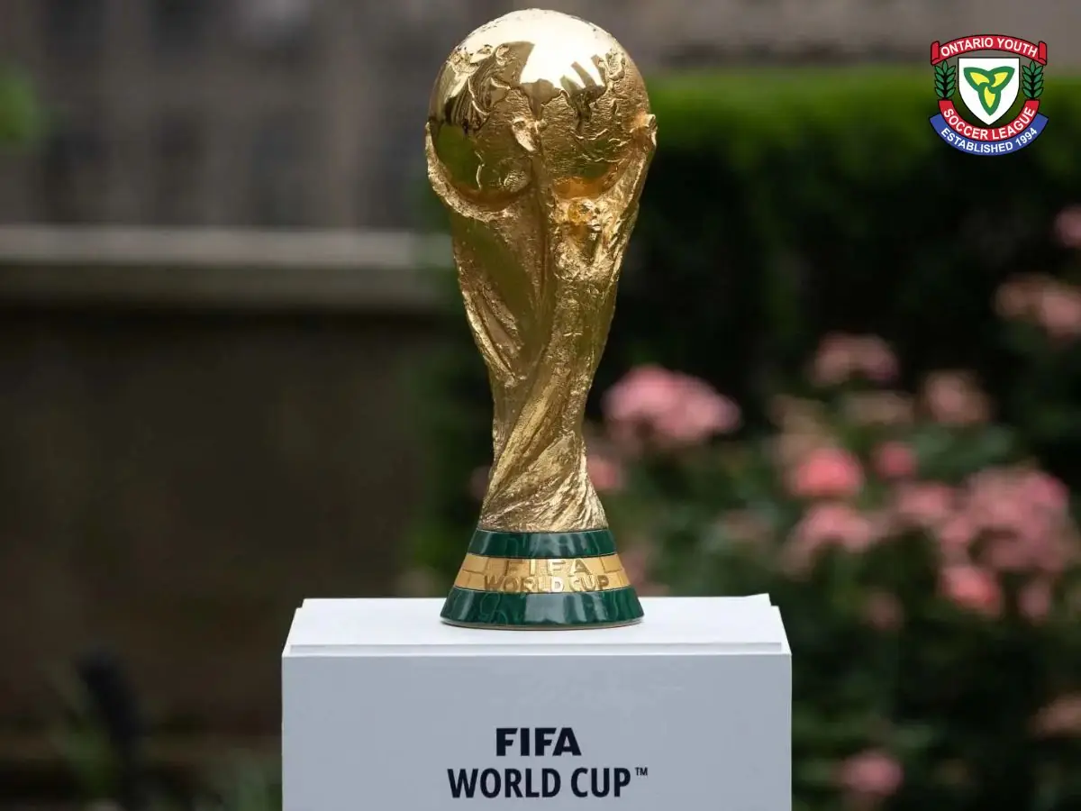 World Cup Mấy Năm Tổ Chức Một Lần? Tất Cả Những Gì Bạn Cần Biết 3 Cúp Vô Địch World Cup