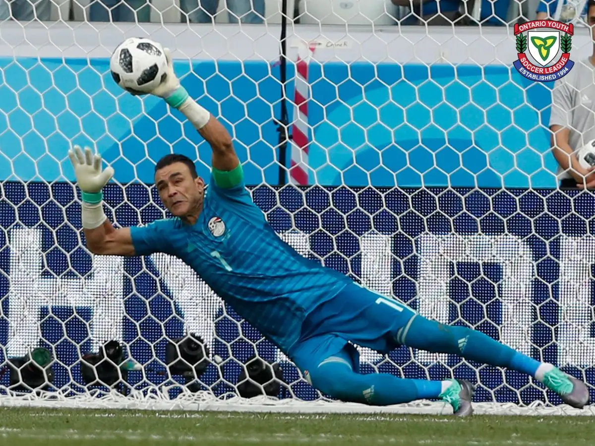 Top 10 Cầu Thủ Lớn Tuổi Nhất Từng Thi Đấu Tại World Cup 12 cầu thủ lớn tuổi nhất thi đấu tại World Cup