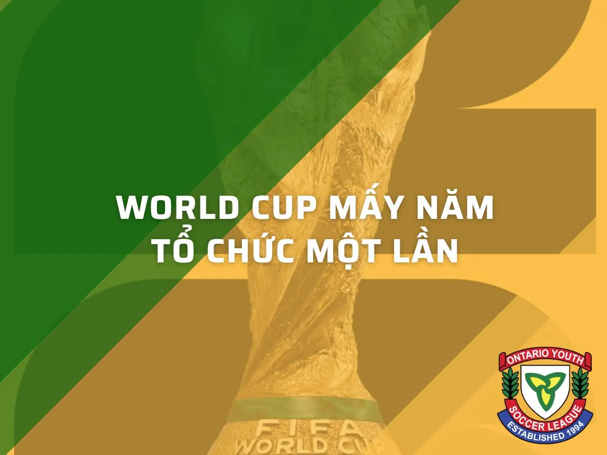 World Cup Mấy Năm Tổ Chức Một Lần