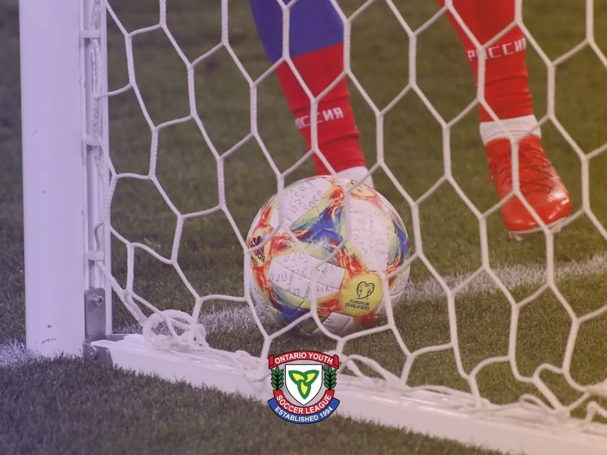 goal line technology