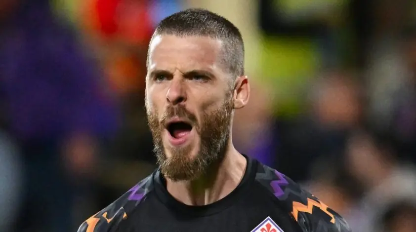 david de gea fiorentina 2024 2425 1730111503 152640 6836d8d5cc85b
