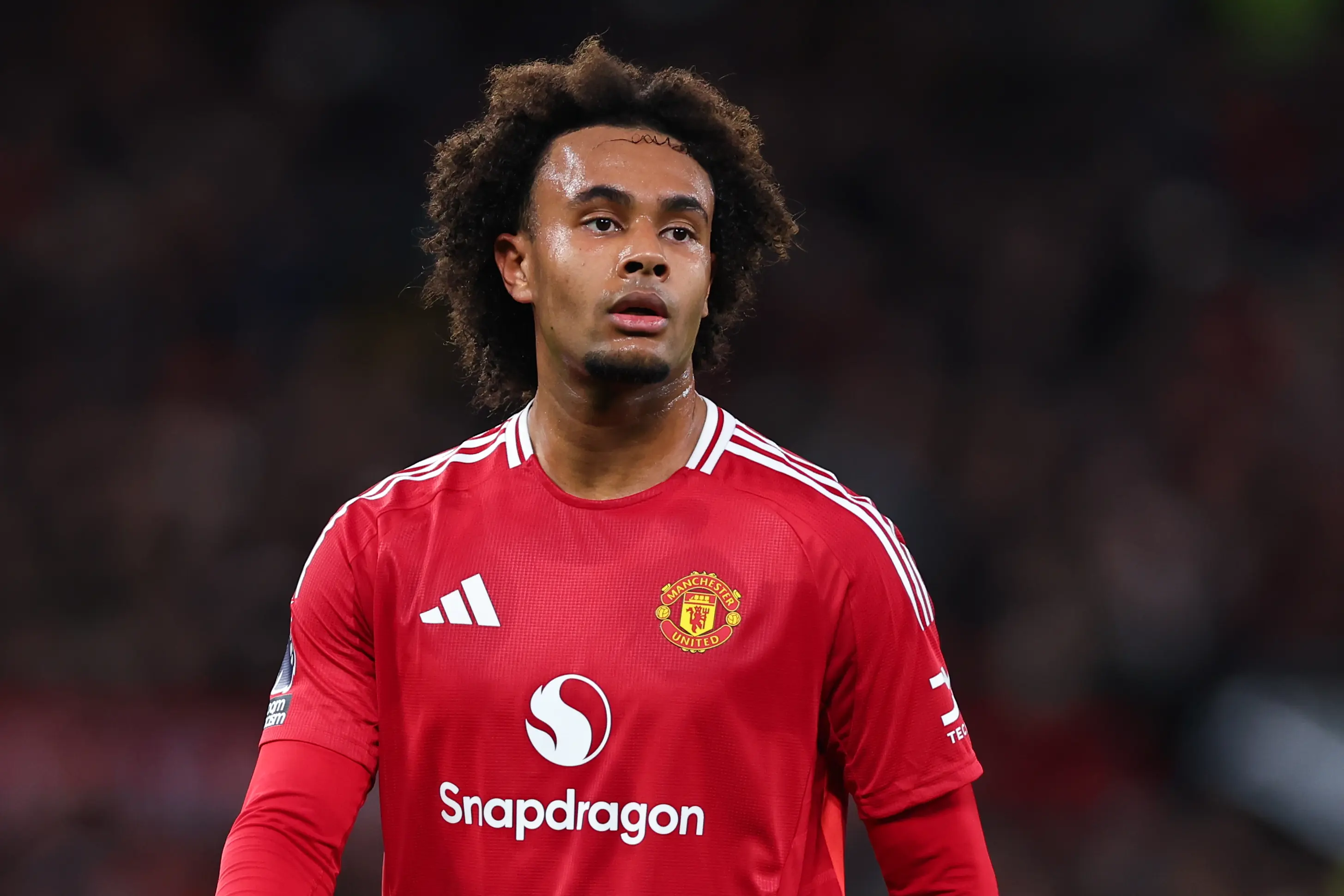 joshua zirkzee manchester united premier 960651317