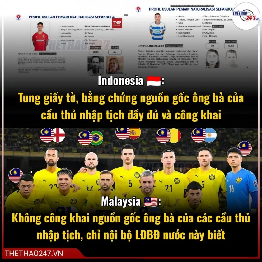 Malaysia kiện ngược 7 cầu thủ nhập tịch bóng đá