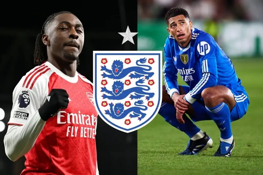 tuan 1200 x 800 px 1 692533cdf37dc