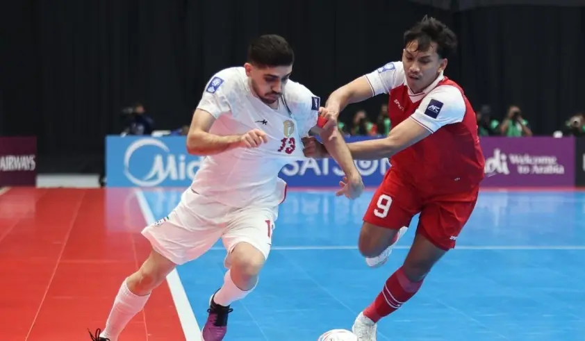 CĐV Việt Nam trầm trồ trước Indonesia suýt đăng quang châu Á